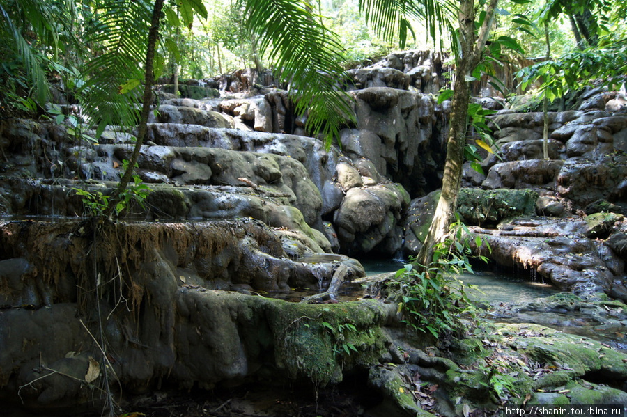 Руины в джунглях Паленке, Мексика