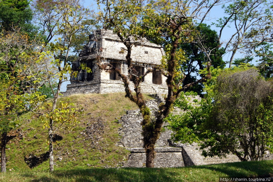 Храм Паленке, Мексика