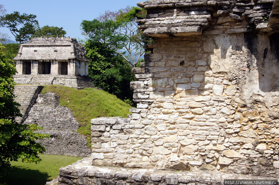 Руины храма Паленке, Мексика