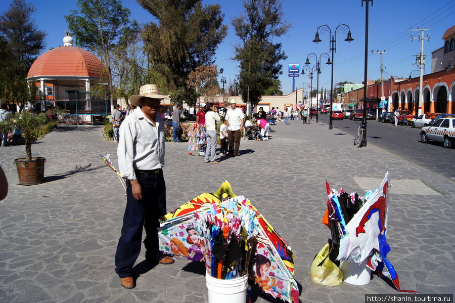 Продавец цветов на центральной площади