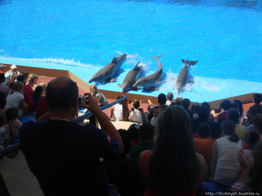 Marineland в Пальма-Нове Пальма-де-Майорка, остров Майорка, Испания