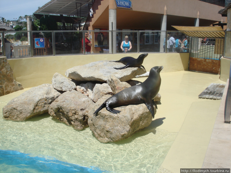 Marineland в Пальма-Нове Пальма-де-Майорка, остров Майорка, Испания