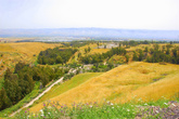 Вид с холма на Изреельскую равнину.