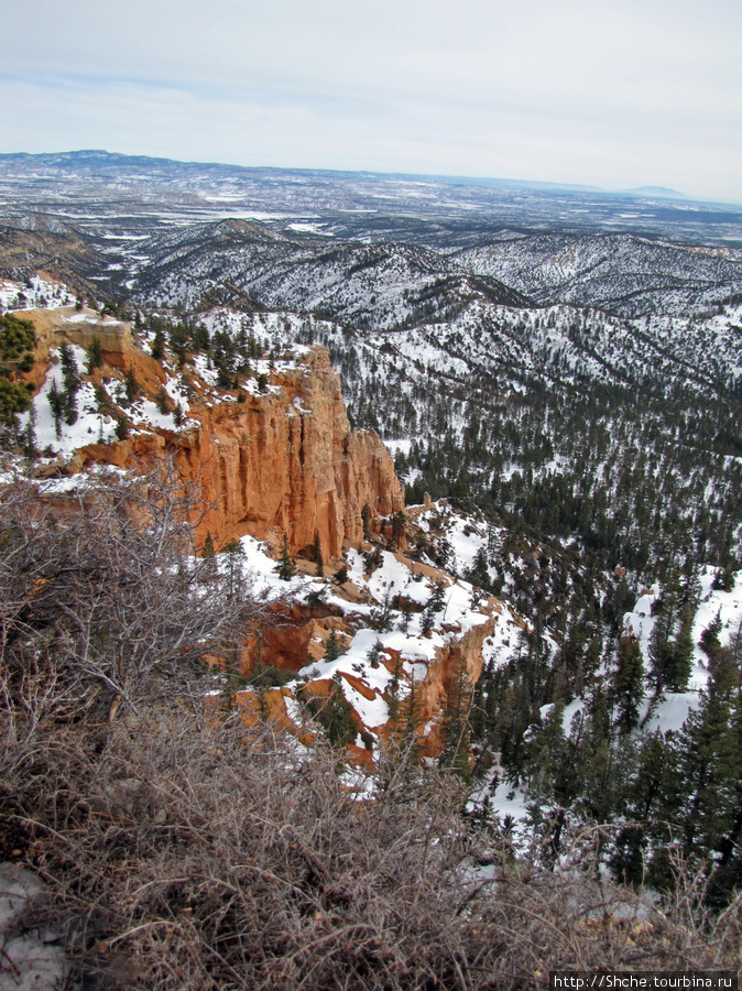 Bridge Canyon — здесь на скалах растут деревья Национальный парк Брайс-Каньон, CША