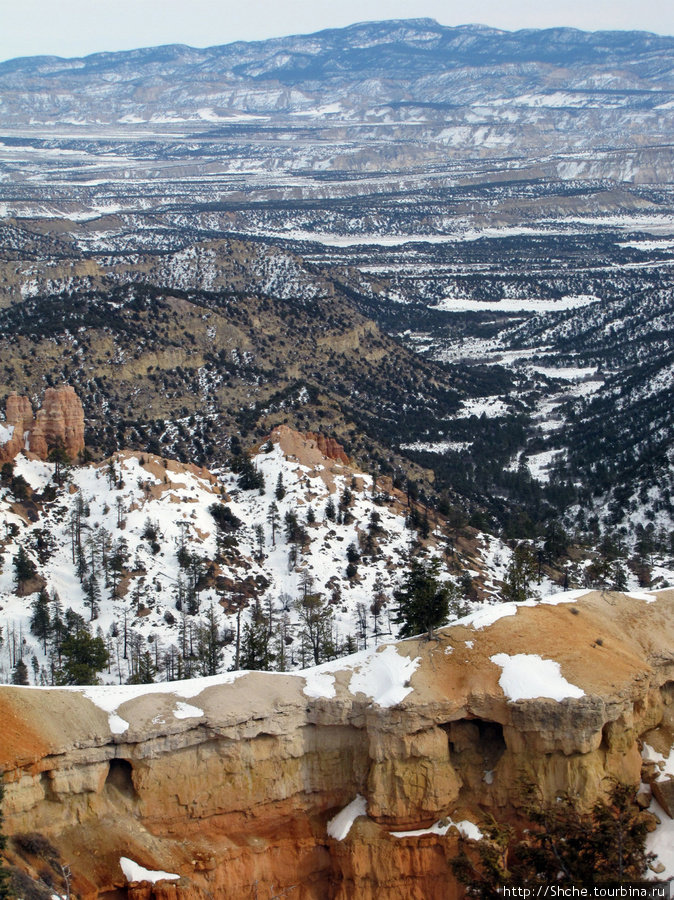 Bridge Canyon — здесь на скалах растут деревья Национальный парк Брайс-Каньон, CША