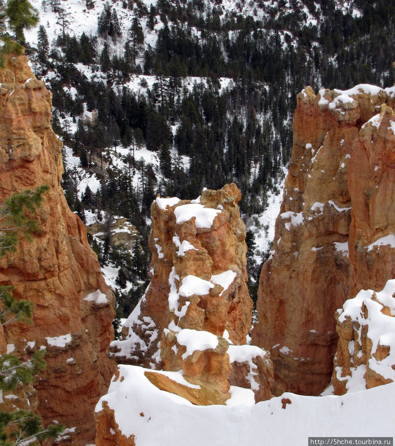 Ponderosa Canyon - американская Каппадокия Национальный парк Брайс-Каньон, CША