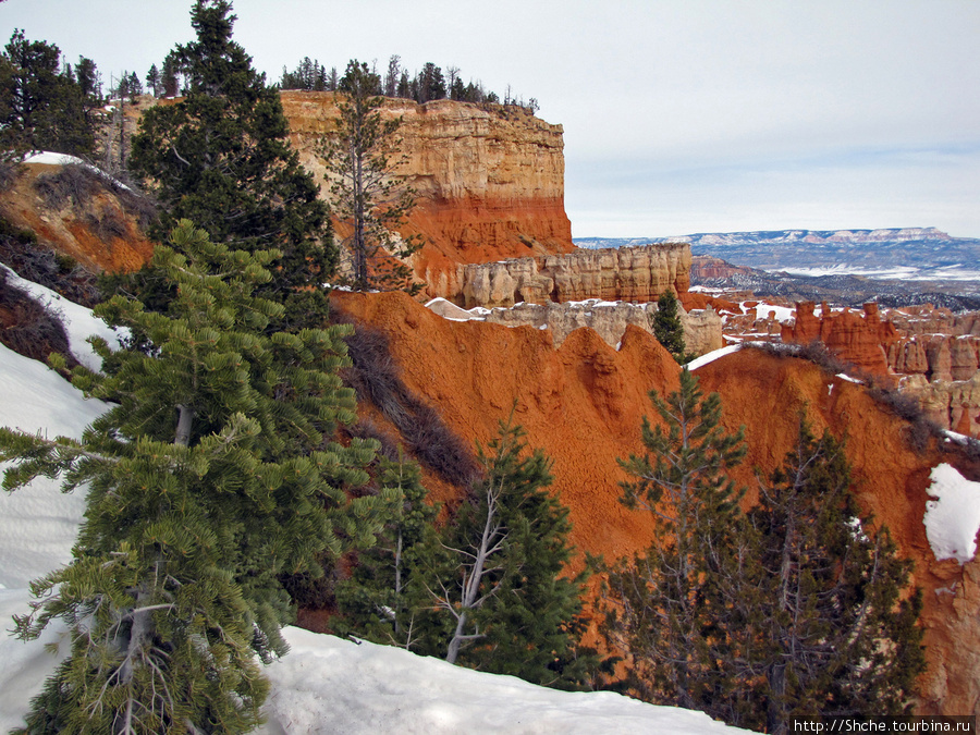 Ponderosa Canyon - американская Каппадокия Национальный парк Брайс-Каньон, CША