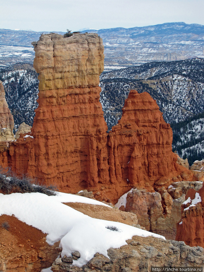 Ponderosa Canyon - американская Каппадокия Национальный парк Брайс-Каньон, CША