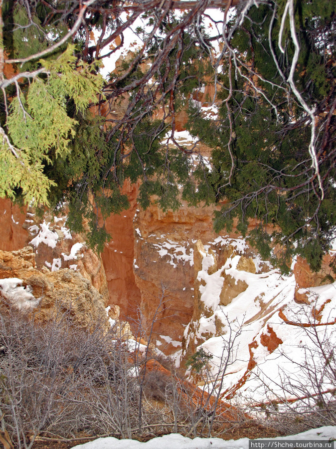 Ponderosa Canyon - американская Каппадокия Национальный парк Брайс-Каньон, CША