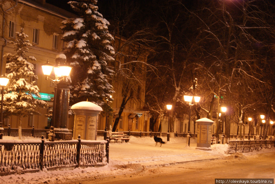 Костромская зимняя сказка Кострома, Россия