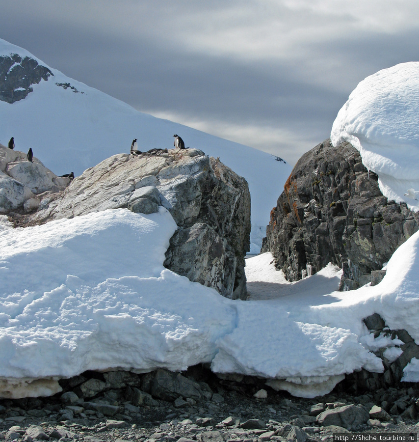 Чилийская антарктическая база Gonz. Videla в заливе Paradise Антарктическая станция Гонсалес-Видела (Чили), Антарктида