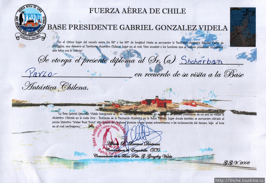Сертификат о посещении. Продают по 5 долларов Антарктическая станция Гонсалес-Видела (Чили), Антарктида