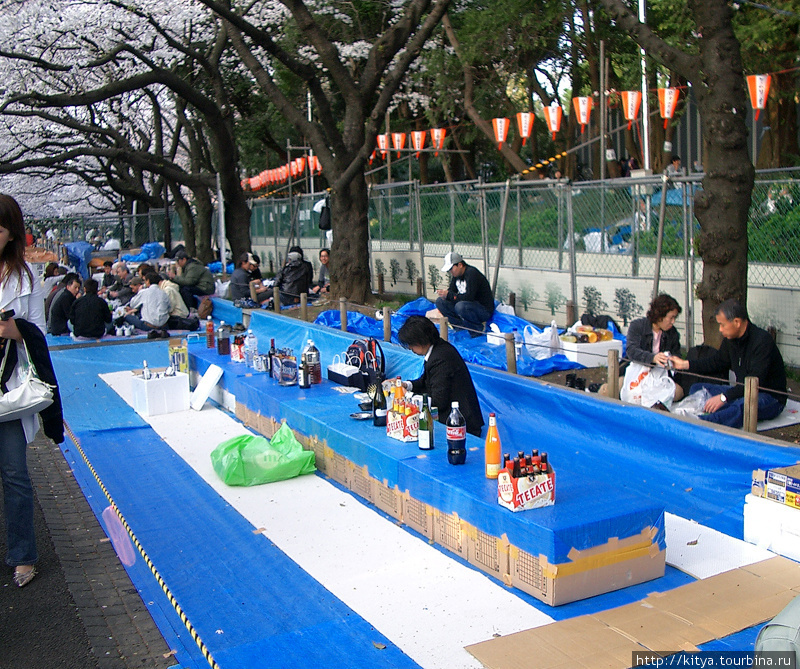 Подготовка к распитию (парк Уэно) Япония