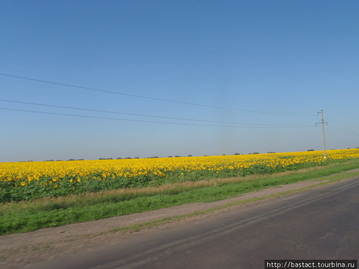 Украина, Венгрия