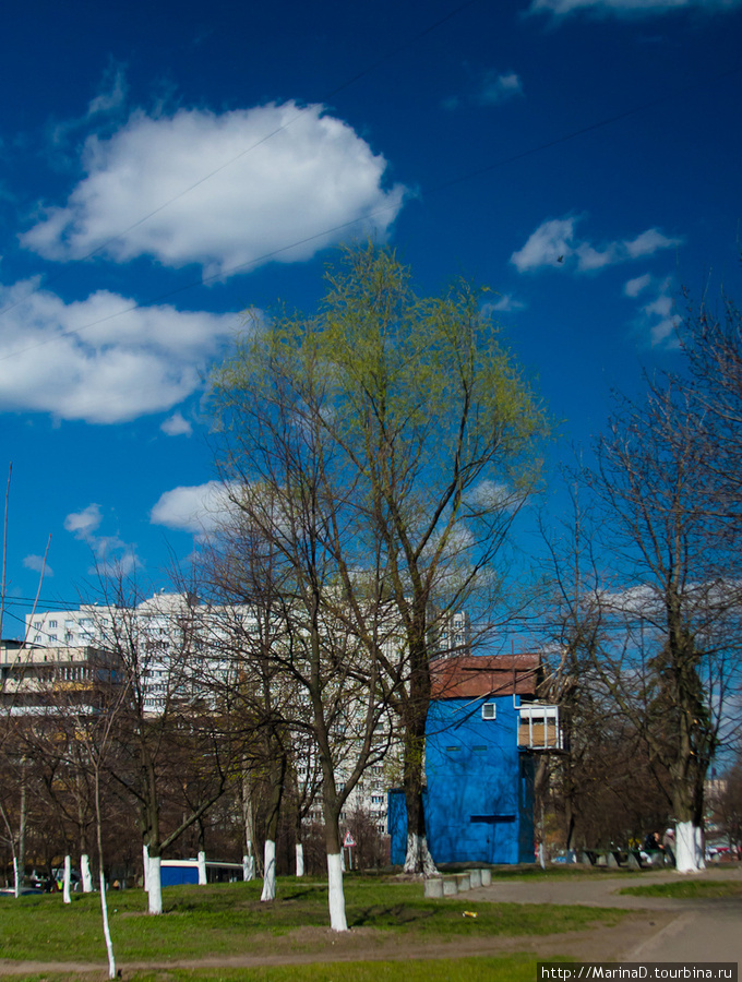 избушка на курьих ножках (голубятня, совершенно не понятно как она здесь очутилась ) Киев, Украина