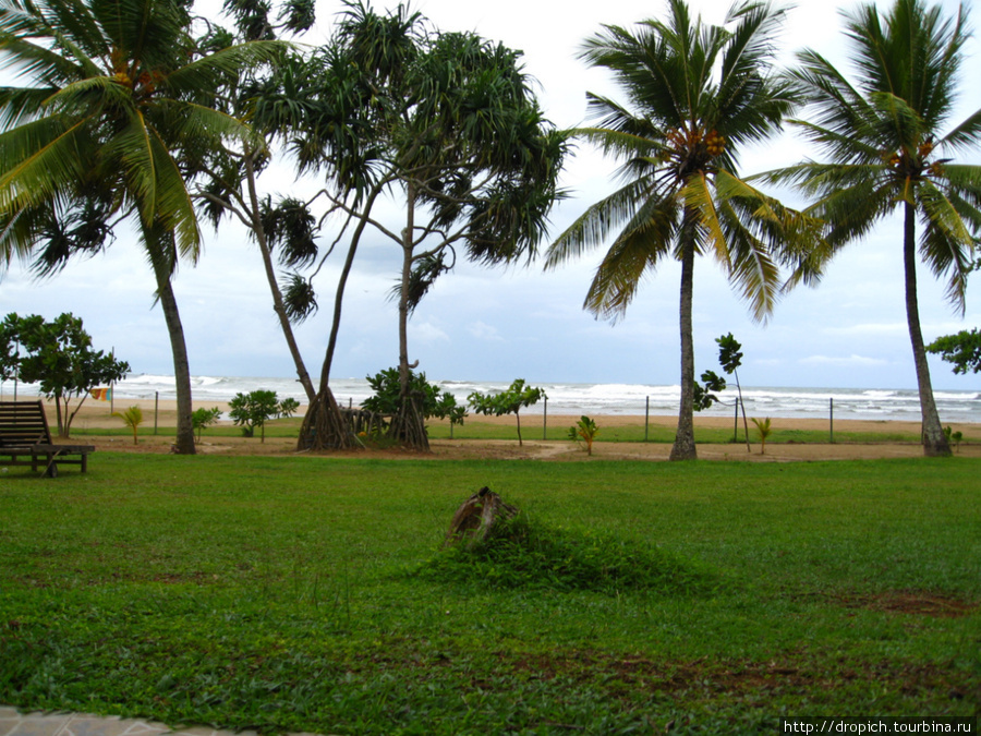 Шри-Ланка Берувала, Шри-Ланка