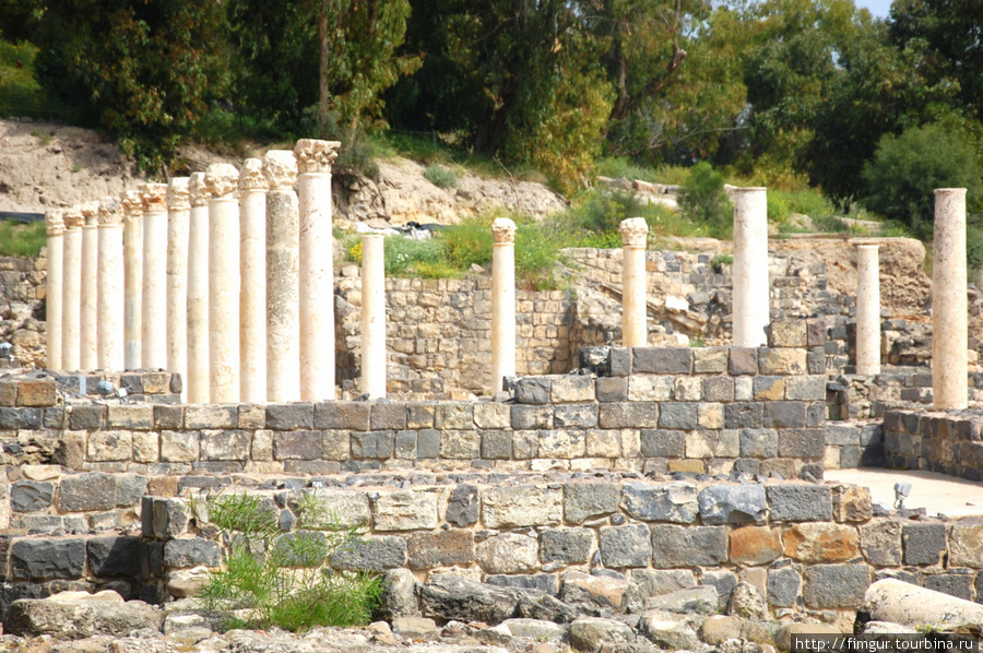 Колоннада Палестры с колоннами Коринфского ордера. Бейт-Шеан, Израиль