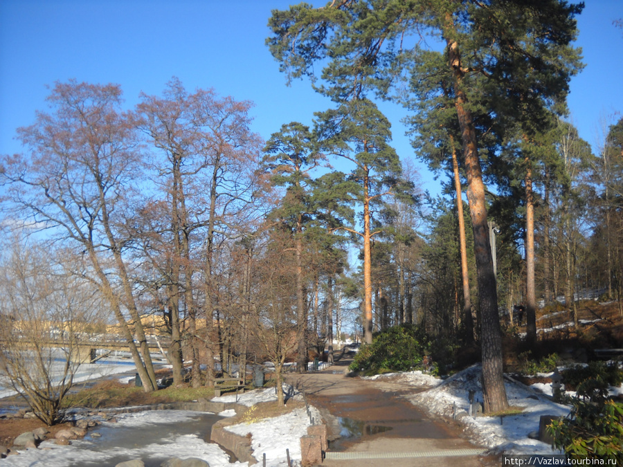 Кругом деревья Котка, Финляндия