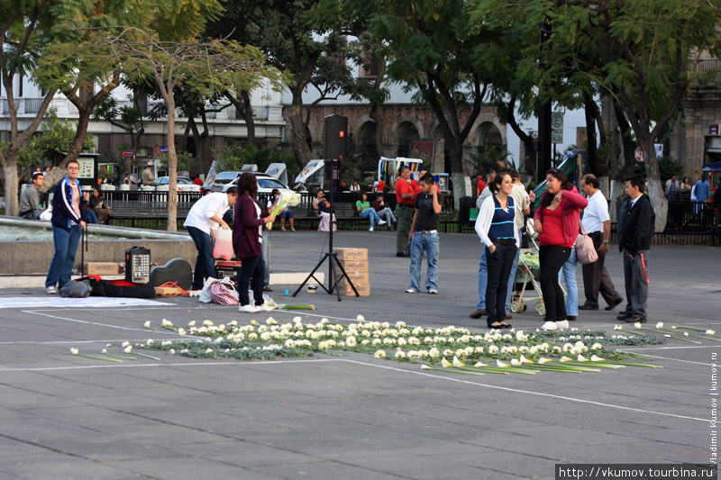 Большой крест выложенный из белых цветов. Гвадалахара, Мексика