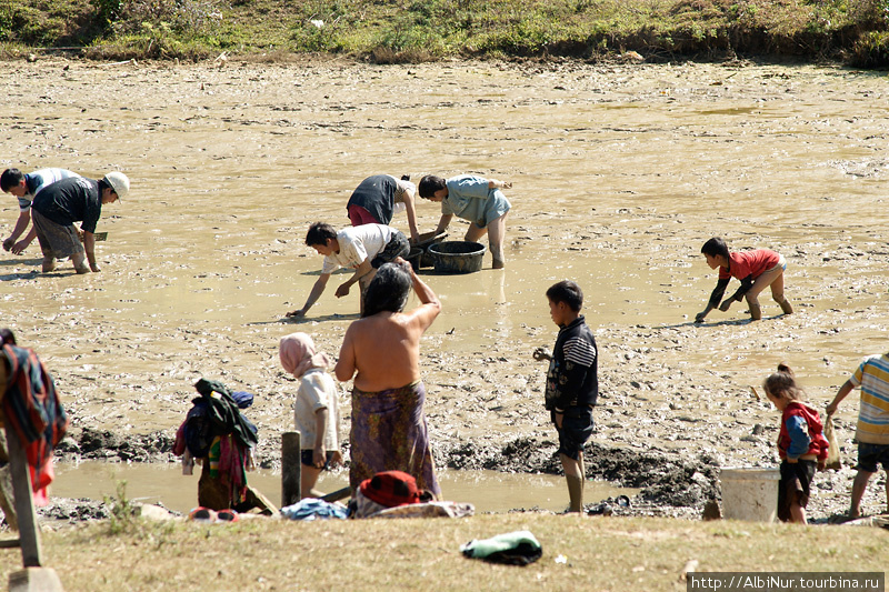 Лаосцы обожают глинистые лужи. Они там собирают каких-то моллюсков, отмываются в колодце поблизости, там же играют дети, спасаясь в прохладной жиже от полуденного солнца. Пхонсаван, Лаос
