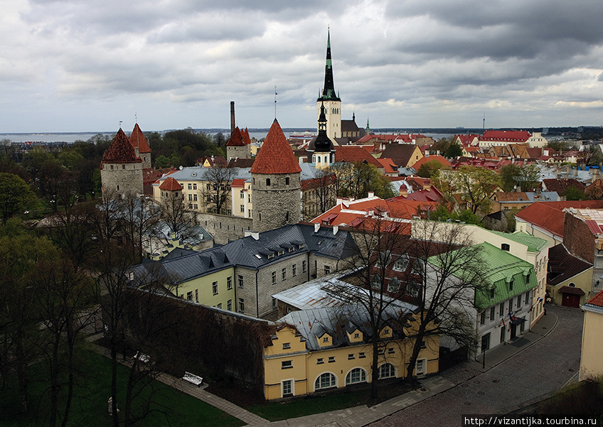 Таллинн. Вид на Старый город и шпиль церкви Олевисте. Таллин, Эстония