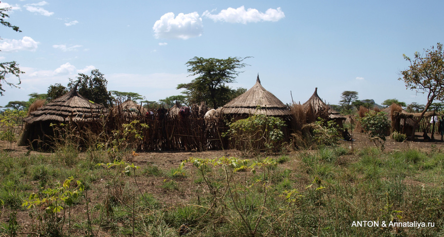 Деревня карамоджонгов Заповедник Пиан-Упе, Уганда