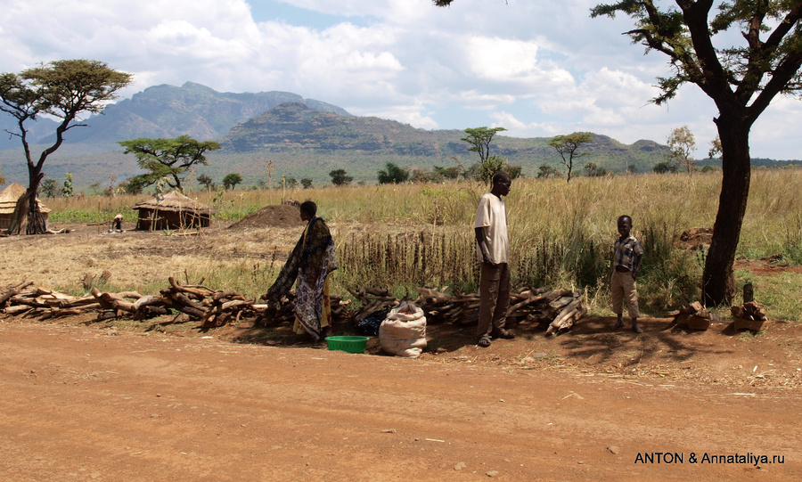 Торговля дровами Заповедник Пиан-Упе, Уганда
