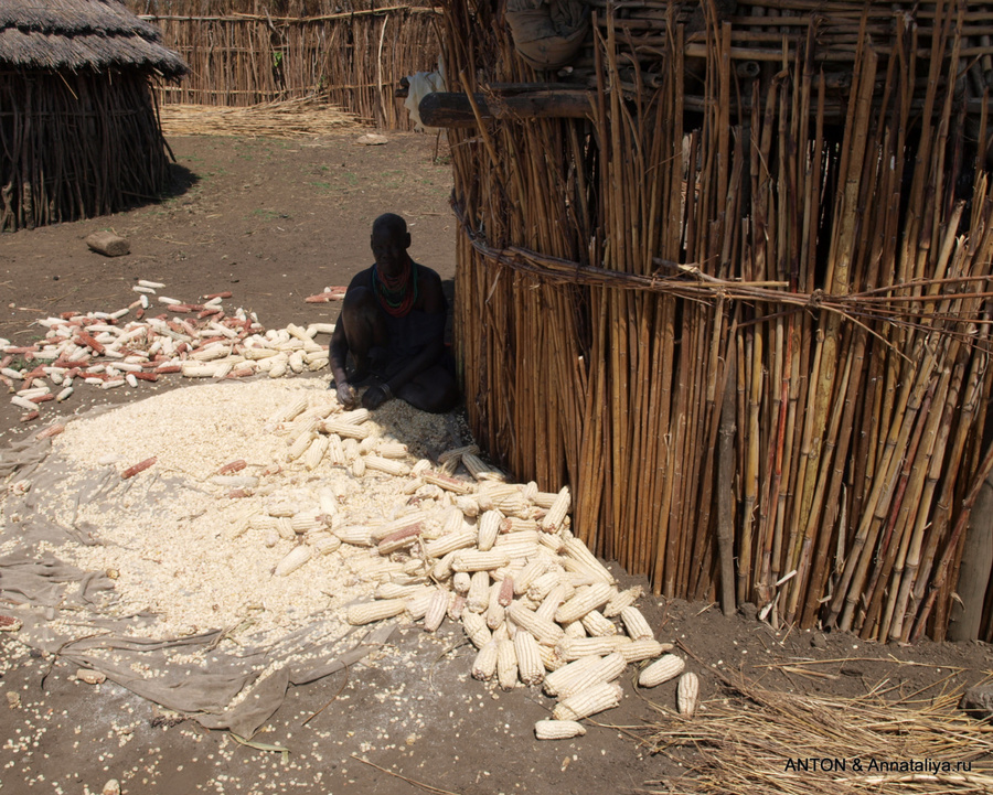 Карамоджонги - часть 2. Жизнь в деревне Заповедник Пиан-Упе, Уганда