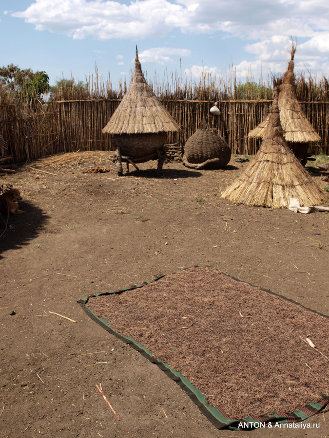 Карамоджонги - часть 2. Жизнь в деревне Заповедник Пиан-Упе, Уганда