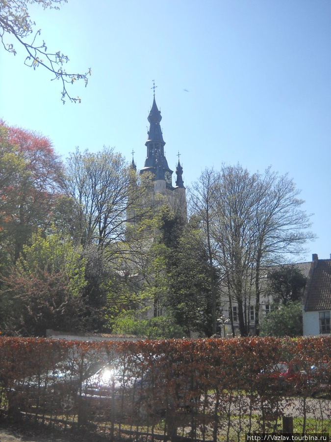 Деревья и храм Кортрейк, Бельгия