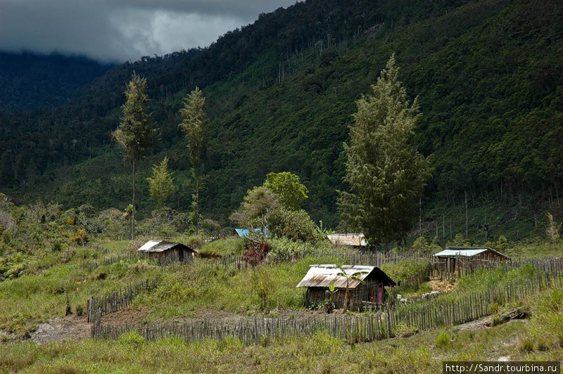 Дома в деревне деревянные и огорожены от соседей забором из кольев. Все чаще стали встречаться металлические крыши. Папуа, Индонезия