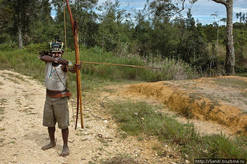 Даже сегодня их ещё используют для охоты, хотя папуасы теперь предпочитают обзаводится воздушными ружьями. Стрелы бывают разные. Одни для мелких птиц и кус-куса, другие для казуара и диких свиней. Колчанов нет. Стрелы носят в руке. Обычно 7-14 штук. Папуа, Индонезия