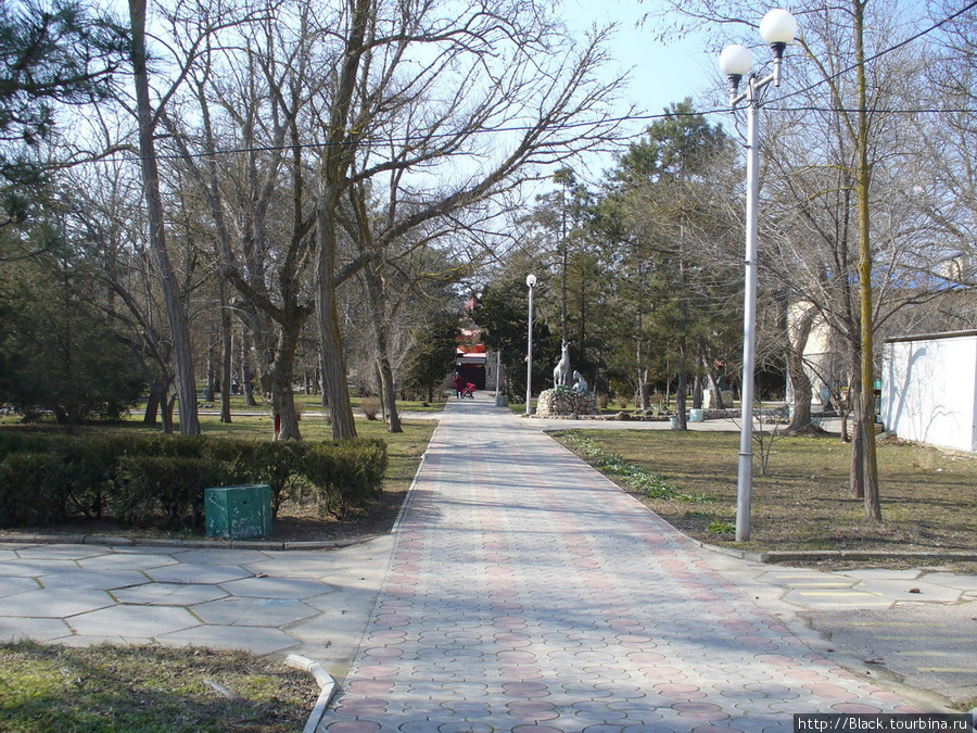 В парке Фрунзе ранняя весна Евпатория, Россия