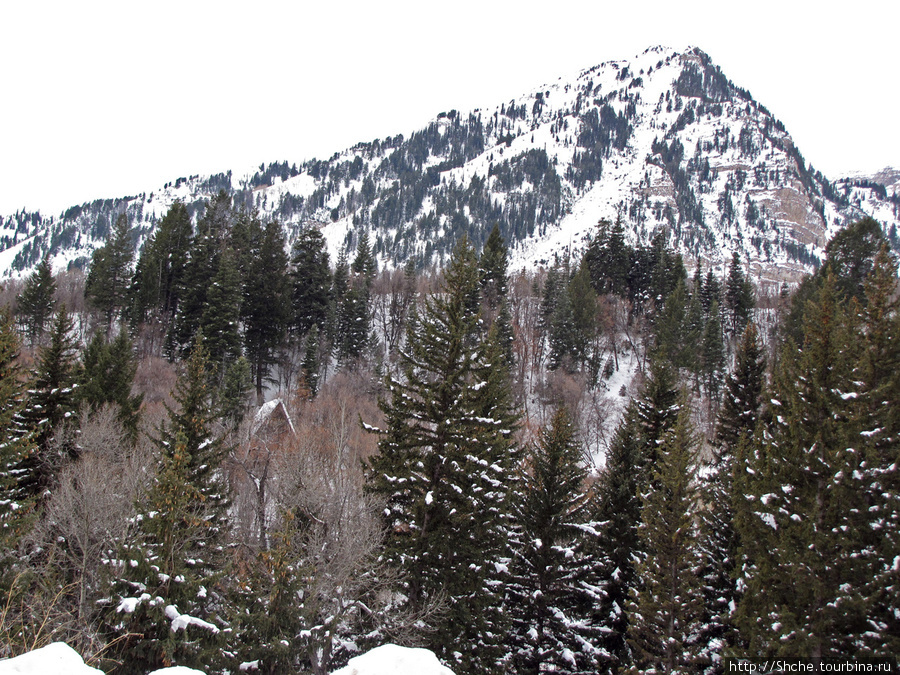 Alpine Loop - самая красивая горная дорога штата Юта Штат Юта, CША