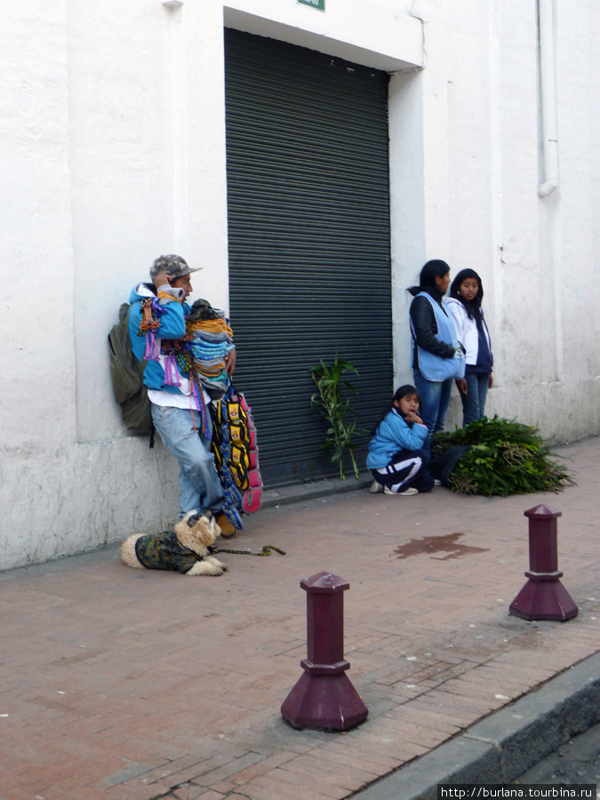 Продавец одежды для собак Кито, Эквадор