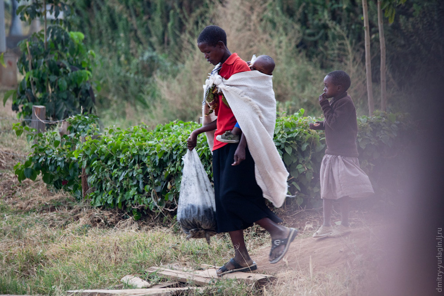 Придорожная жизнь Нанюки Наньюки, Кения