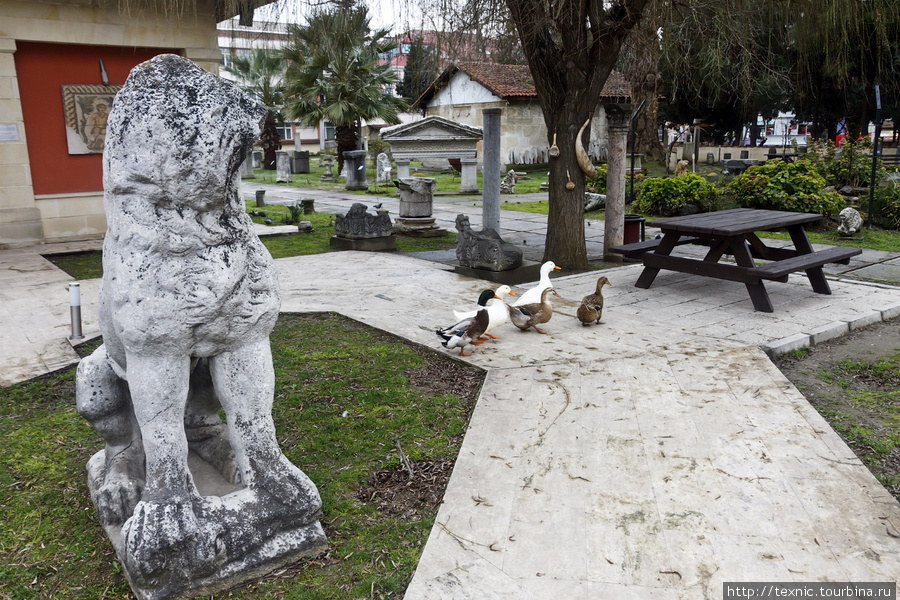 В краеведческом музее среди памятников старины гуляют гуси, утки. Здесь же есть небольшой вольер с другими птицами. Синоп, Турция
