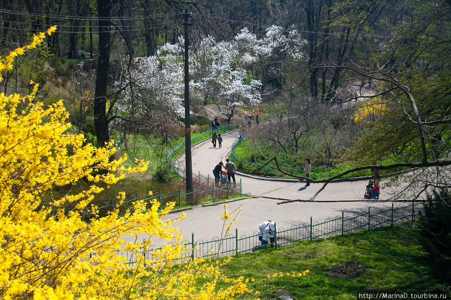 Ботанический сад им. Фомина Киев, Украина