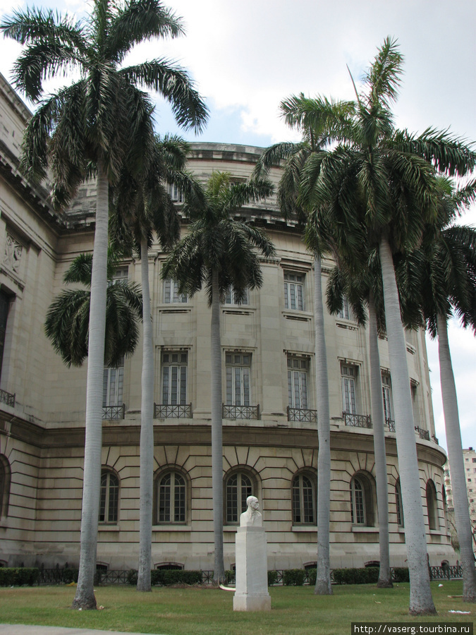 Королевские пальмы у Капитолия Гавана, Куба