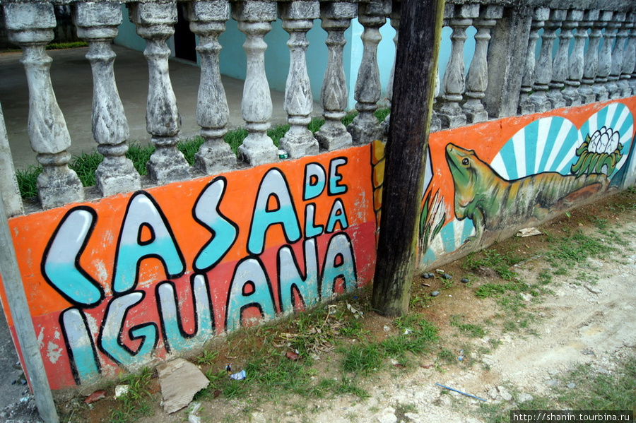 Забор хостела !Игуана в Ливингстоне Ливингстон, Гватемала