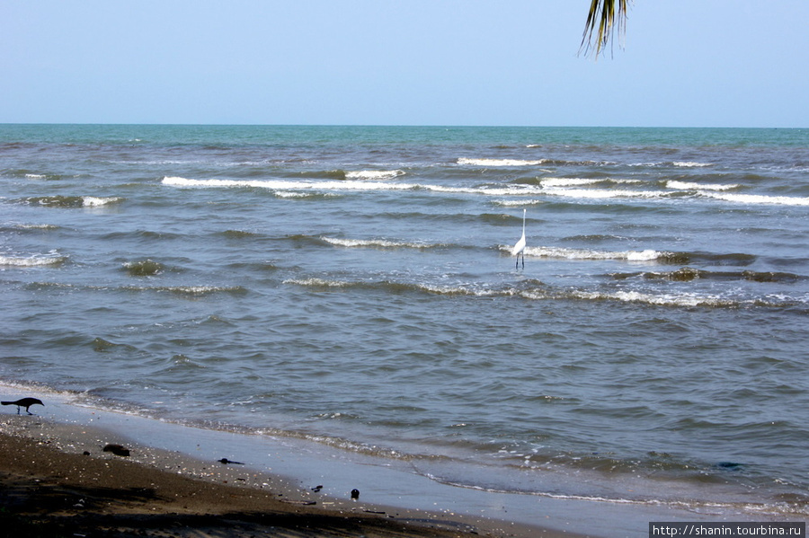Карибское море в Ливингстоне Ливингстон, Гватемала