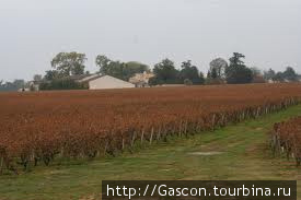 Виноградники Сотерн Сотерн, Франция