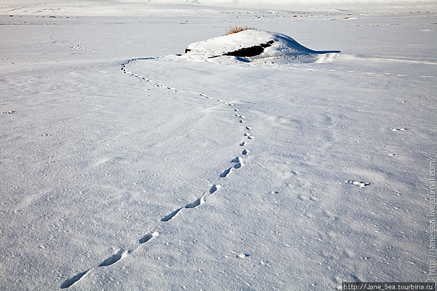 Снег, да снег кругом Кош-Агач, Россия