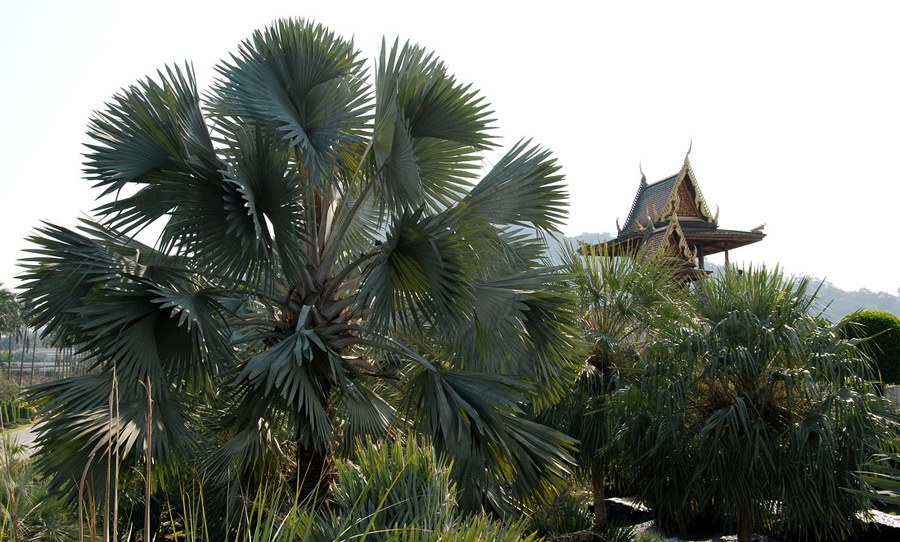 Парк, которого не было в моем детстве (ч.3 — Стоунхендж) Паттайя, Таиланд