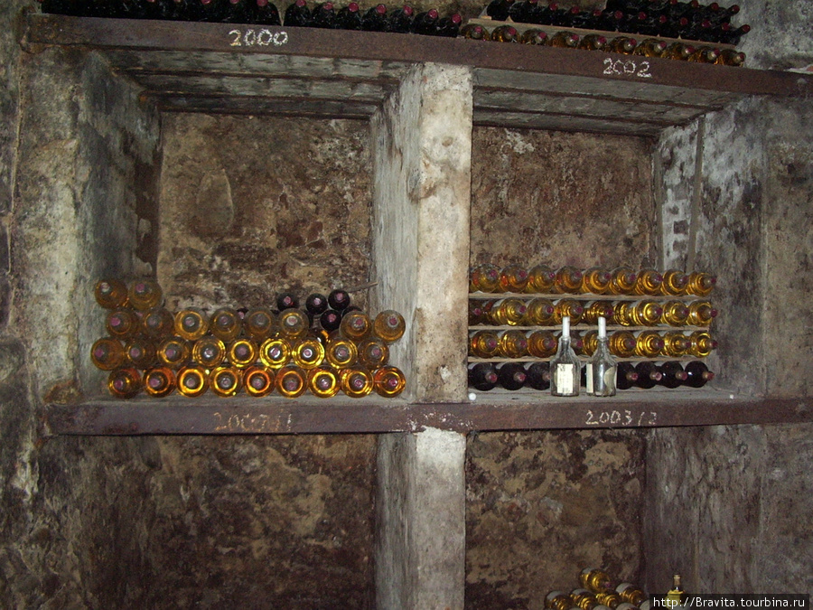 Здесь хранятся архивные бутылки и проводится дегустация местных вин Среднечешский край, Чехия