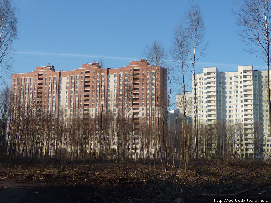 Жилые дома-новостройки на ул. Бадаева. Санкт-Петербург, Россия