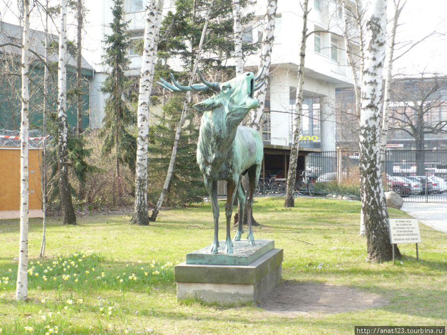 Берлинский зоопарк Берлин, Германия