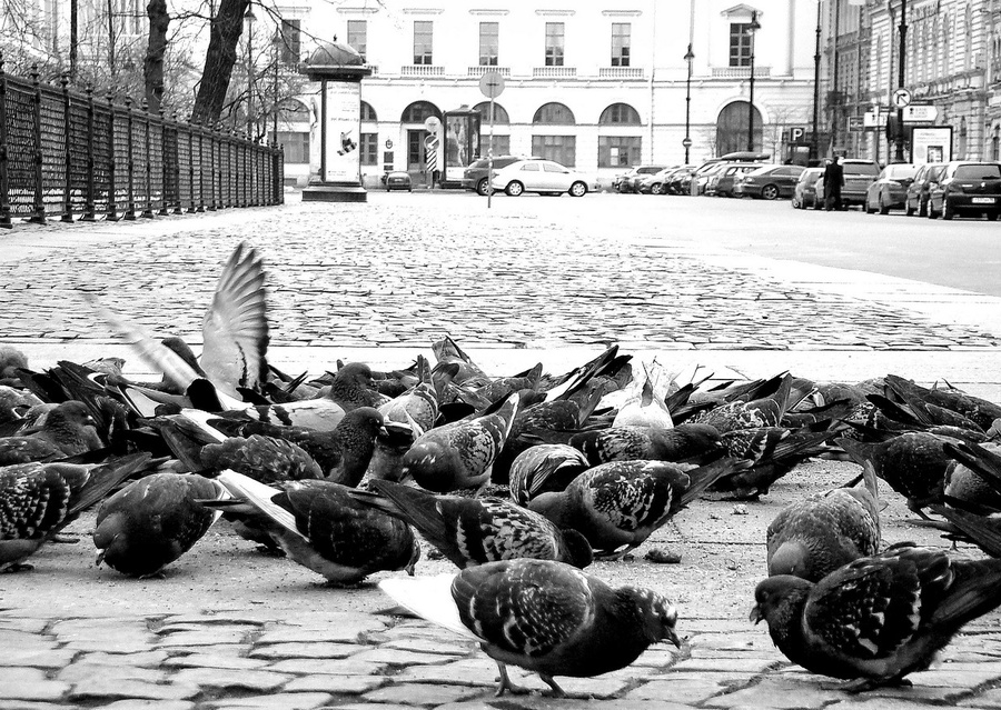 Монохромный Петербург (ч.2 — возвращение) Санкт-Петербург, Россия