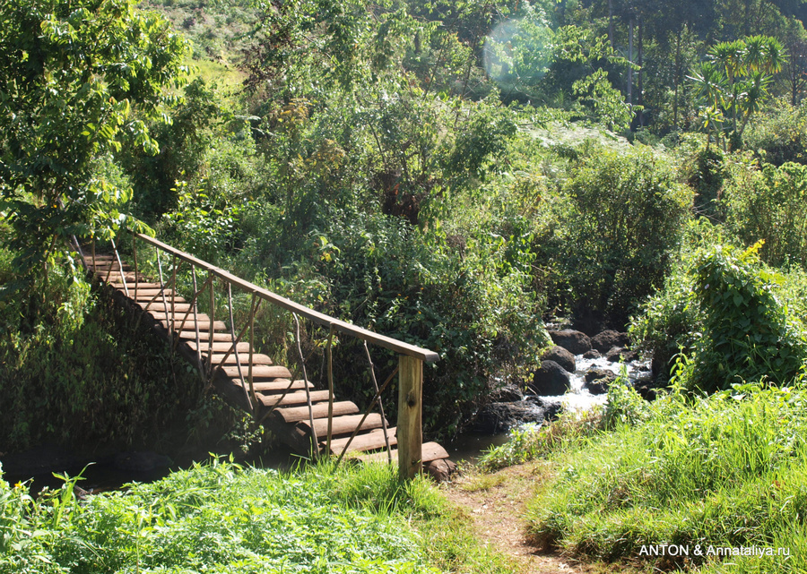 Мост к водопаду Сипи, Уганда