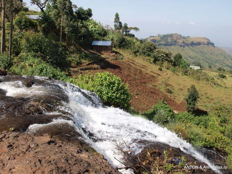 С Моисеем за обезьянами - часть 2. Водопады Сипи, Уганда